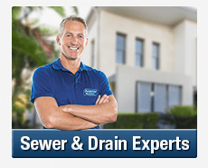 Sewer & Drain Experts Collaroy